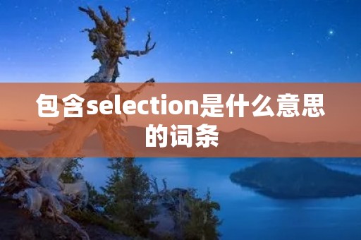 包含selection是什么意思的词条 包含selection是什么意思的词条
