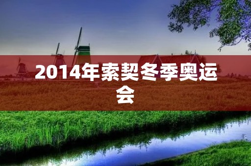 2014年索契冬季奥运会：白雪皑皑中的世界盛会