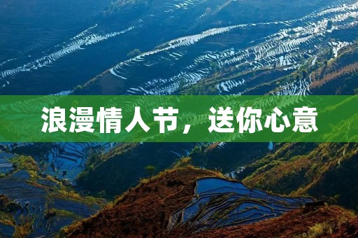 浪漫情人节,送你心意