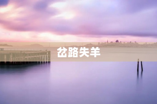 岔路失羊：如何在迷茫中找到正确的方向