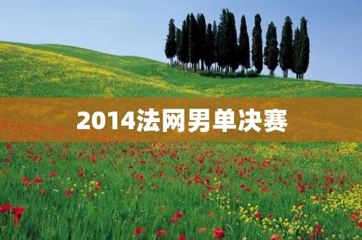 2014法网男单决赛:纳达尔力挫李娜夺冠 2014法网男单决赛:纳达尔力挫李娜夺冠