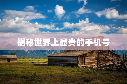 揭秘世界上最贵的手机号