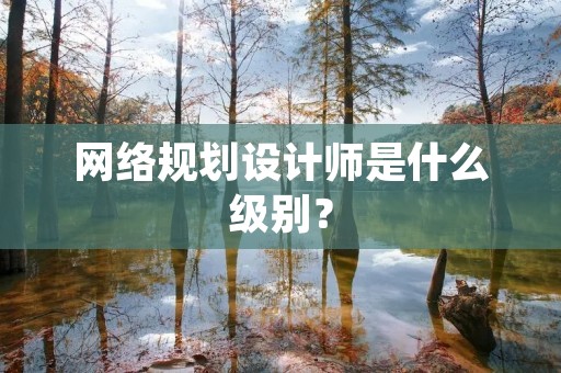 网络规划设计师是什么级别?