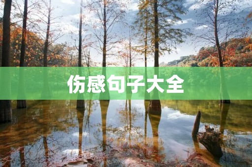 伤感句子大全:用文字表达内心的悲伤