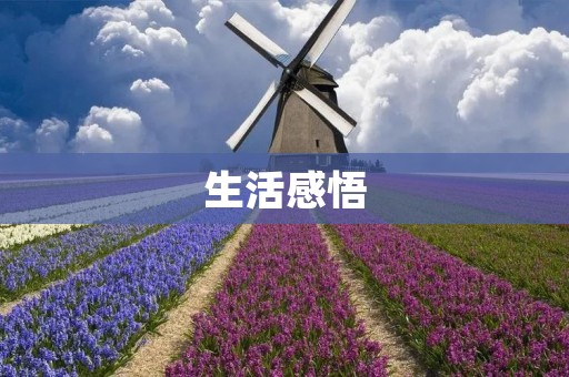 生活感悟:从细节中体会生命的美好