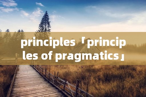 principles「principles of pragmatics」 principles「principles of pragmatics」