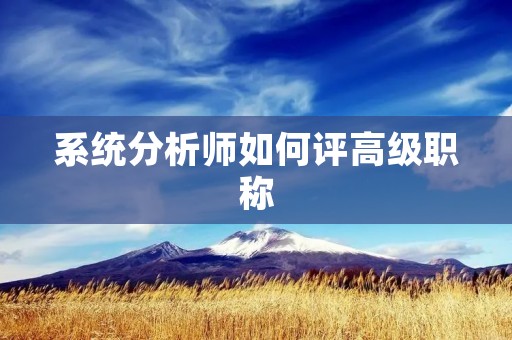 系统分析师如何评高级职称