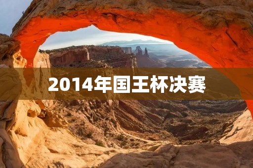 2014年国王杯决赛：巴萨夺冠，马竞失望