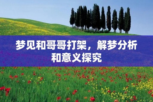 梦见和哥哥打架，解梦分析和意义探究