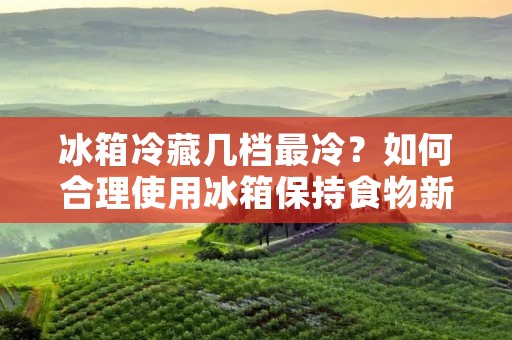 冰箱冷藏几档最冷？如何合理使用冰箱保持食物新鲜？