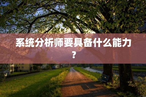 系统分析师要具备什么能力? 系统分析师要具备什么能力?