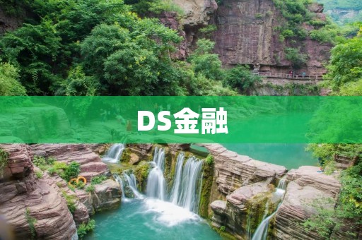 DS金融：一站式数字化金融服务平台
