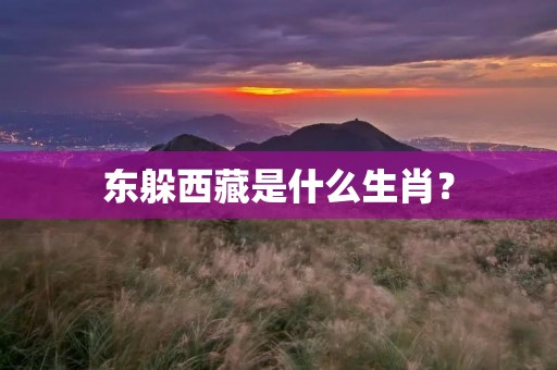 东躲西藏是什么生肖？