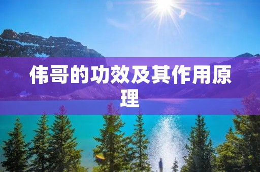 伟哥的功效及其作用原理