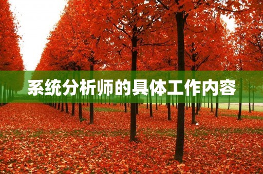 系统分析师的具体工作内容