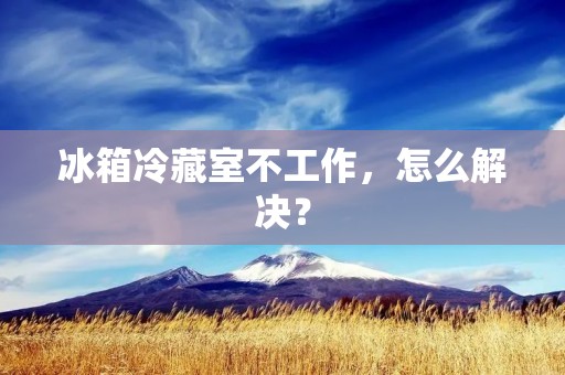 冰箱冷藏室不工作，怎么解决？