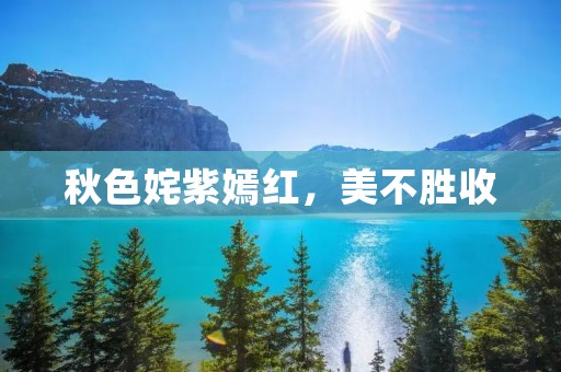 秋色姹紫嫣红,美不胜收 秋色姹紫嫣红,美不胜收