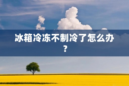 冰箱冷冻不制冷了怎么办？