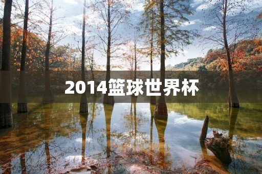 2014篮球世界杯：中国男篮的艰难征程