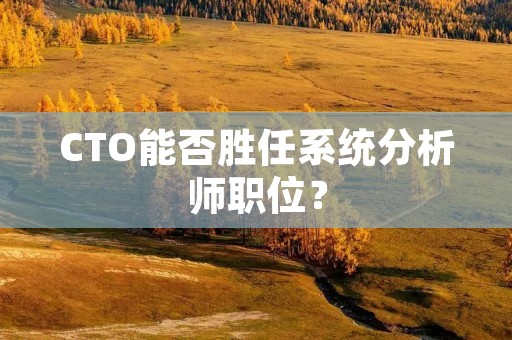 CTO能否胜任系统分析师职位?
