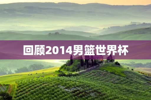 回顾2014男篮世界杯:中国队表现惨淡,美国队夺冠 回顾2014男篮世界杯:中国队表现惨淡,美国队夺冠