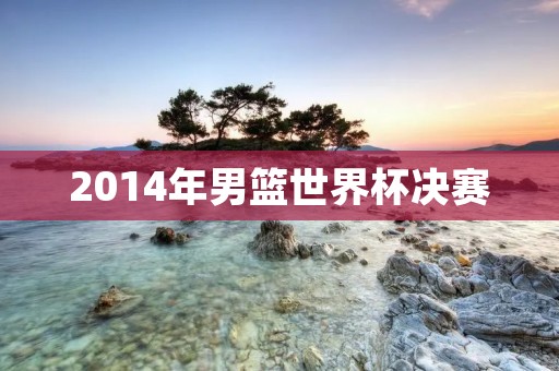 2014年男篮世界杯决赛:美国队夺冠,塞尔维亚队亚军