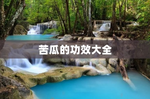 苦瓜的功效大全：从降血糖到美容，都能帮到你
