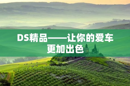 DS精品——让你的爱车更加出色 DS精品——让你的爱车更加出色