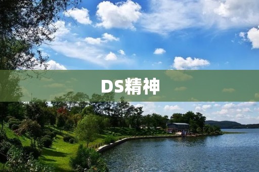 DS精神:打造领先的豪华汽车品牌 DS精神:打造领先的豪华汽车品牌