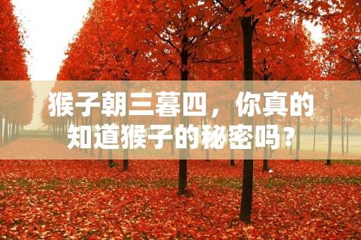 猴子朝三暮四，你真的知道猴子的秘密吗？
