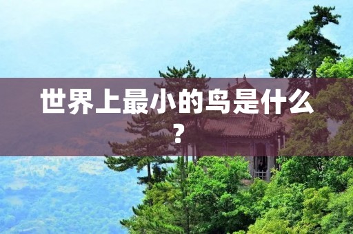 世界上最小的鸟是什么?