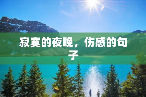 寂寞的夜晚,伤感的句子