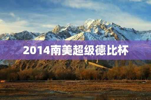 2014南美超级德比杯：巴西和阿根廷的足球盛宴