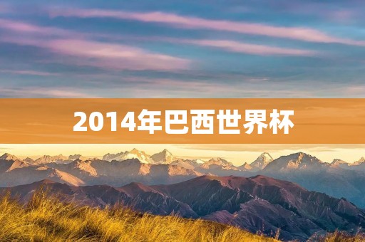 2014年巴西世界杯：历史性的足球盛宴
