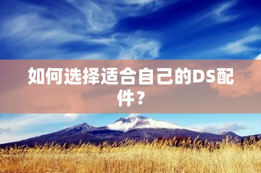 如何选择适合自己的DS配件? 如何选择适合自己的DS配件?