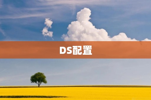 DS配置:详解DS车型配置及其优势 DS配置:详解DS车型配置及其优势