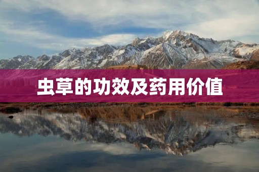 虫草的功效及药用价值