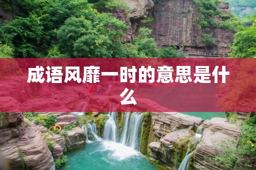 成语风靡一时的意思是什么
