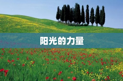 阳光的力量