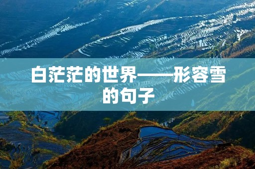 白茫茫的世界——形容雪的句子