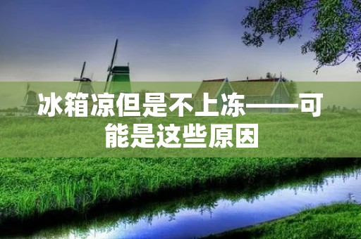 冰箱凉但是不上冻——可能是这些原因