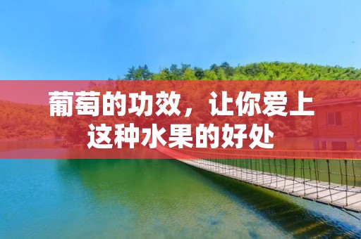 葡萄的功效，让你爱上这种水果的好处