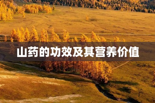 山药的功效及其营养价值