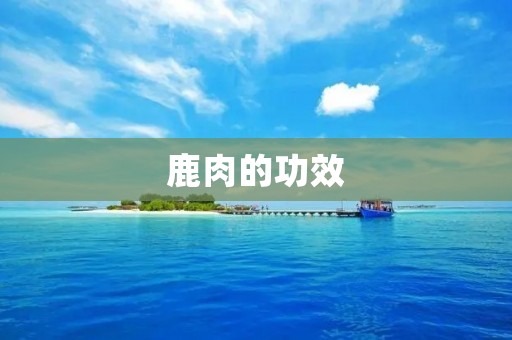 鹿肉的功效：探究鹿肉对人体的益处