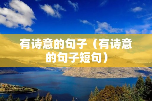 有诗意的句子(有诗意的句子短句)