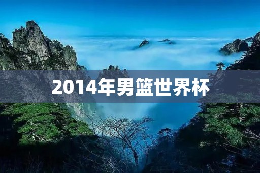 2014年男篮世界杯：中国队表现不佳，西班牙队夺冠