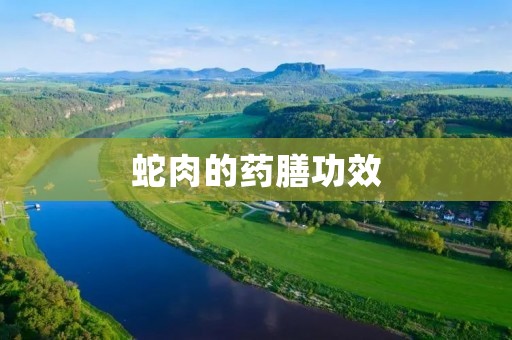 蛇肉的药膳功效