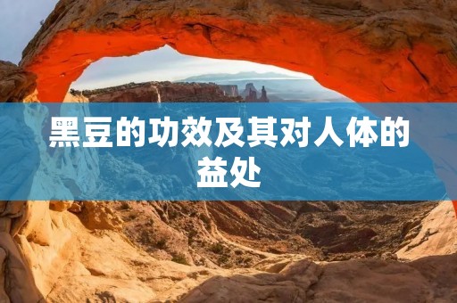 黑豆的功效及其对人体的益处 黑豆的功效及其对人体的益处