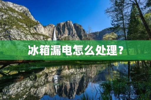 冰箱漏电怎么处理？