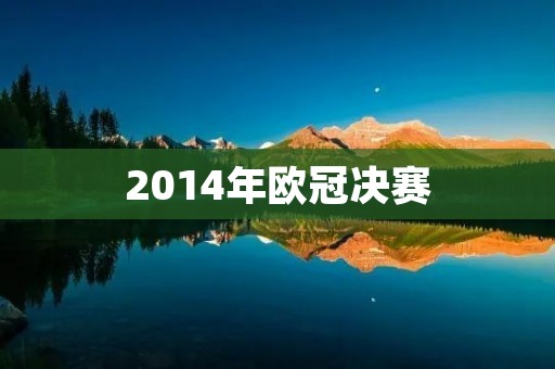 2014年欧冠决赛：皇马夺冠马竞失落